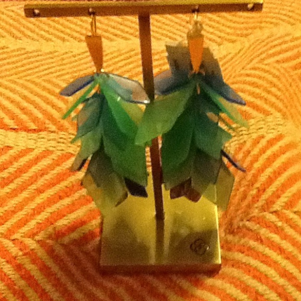 Kendra Scott earrings
